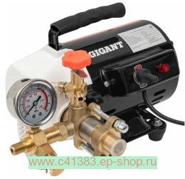 ������������� ������������� ����� Gigant 60 ��� 250 �� 3 �/��� GPTP-60-3